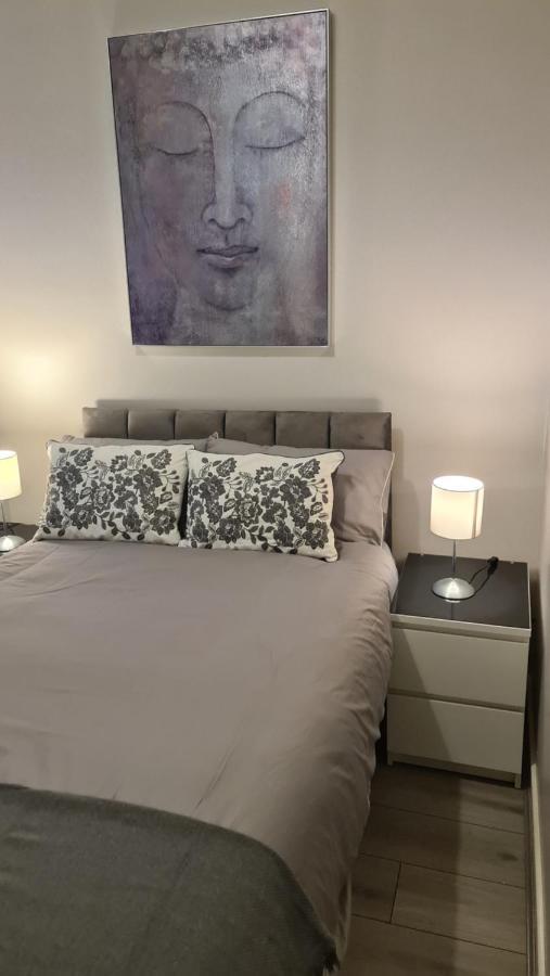 Alexandra Park Apartment 1 ベルファスト エクステリア 写真